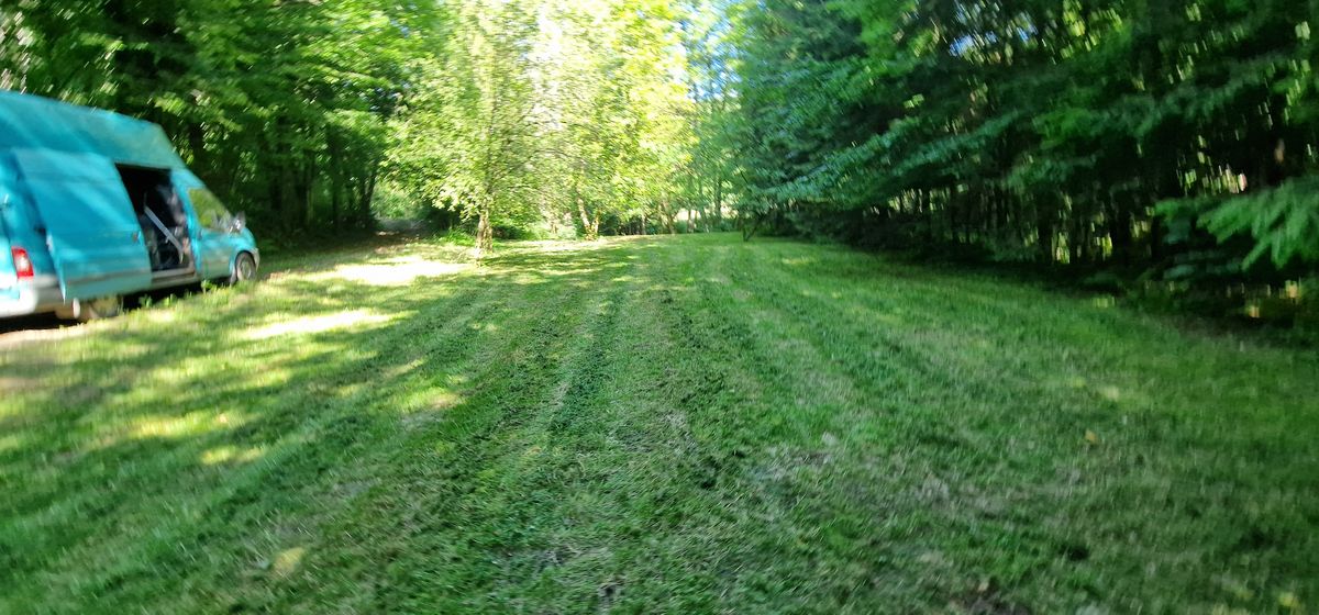 ForstHaven Bild 1