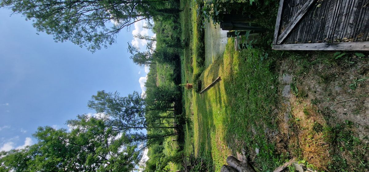 ForstHaven Bild 4
