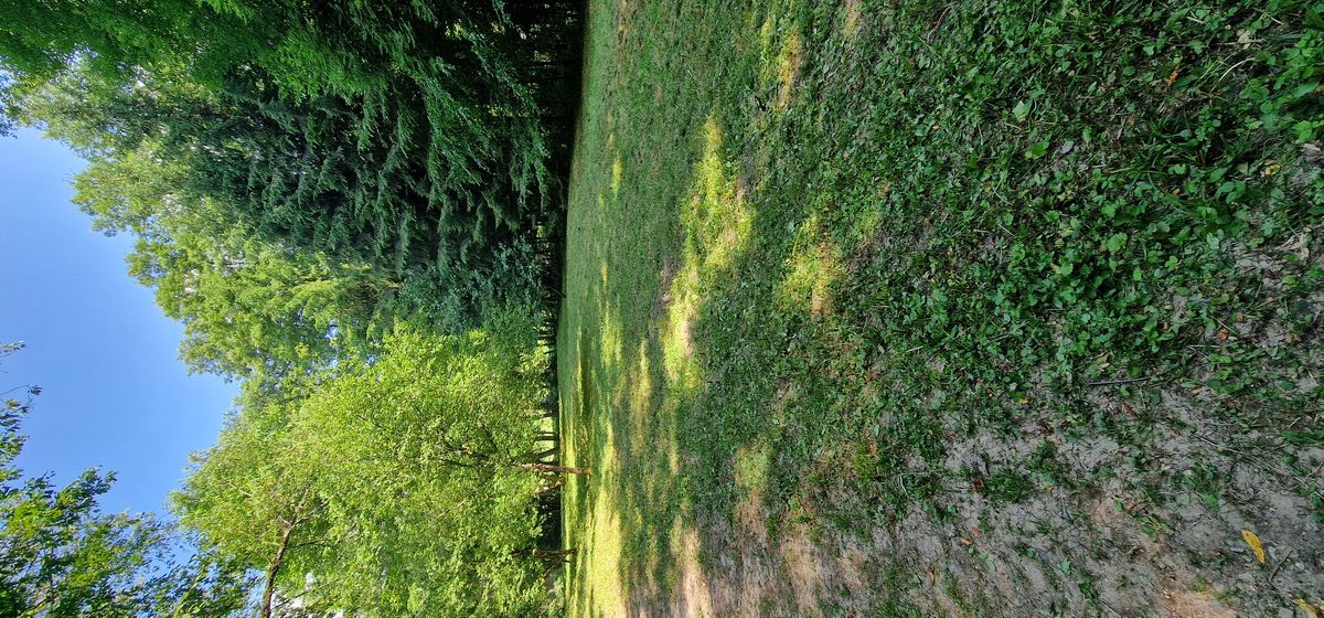 ForstHaven Bild 5