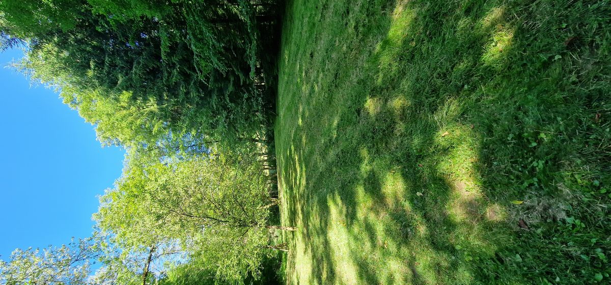 ForstHaven Bild 6