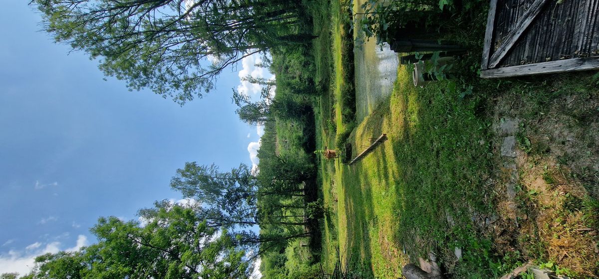 ForstHaven Bild 7