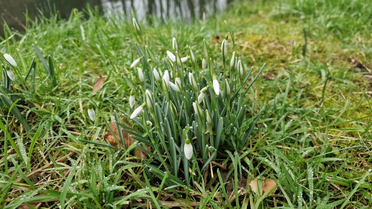 ForstHaven Bild 11