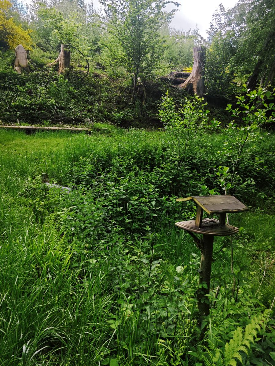 ForstHaven Bild 14