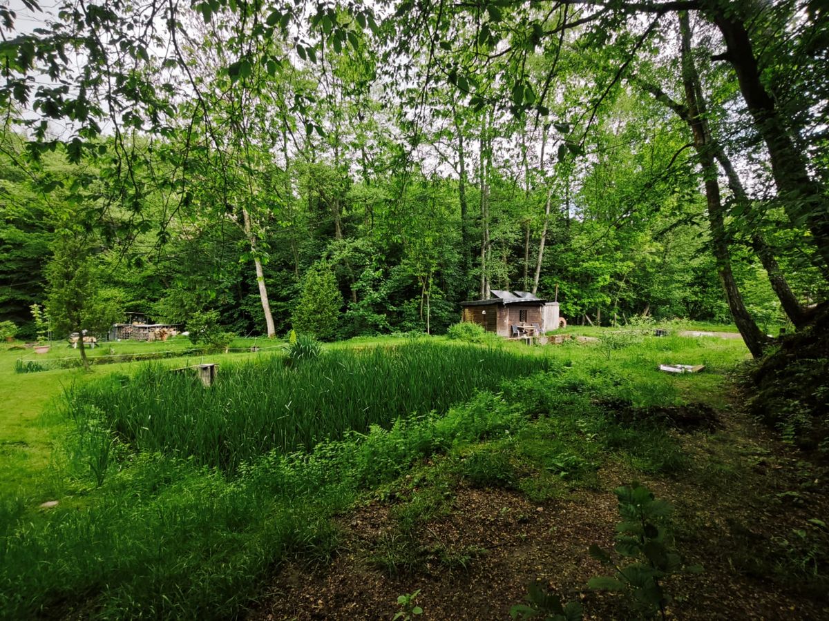 ForstHaven Bild 16