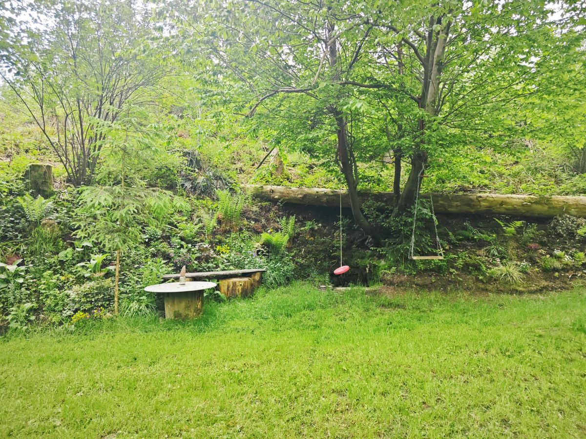 ForstHaven Bild 20