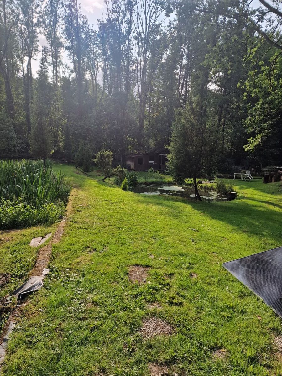 ForstHaven Bild 26