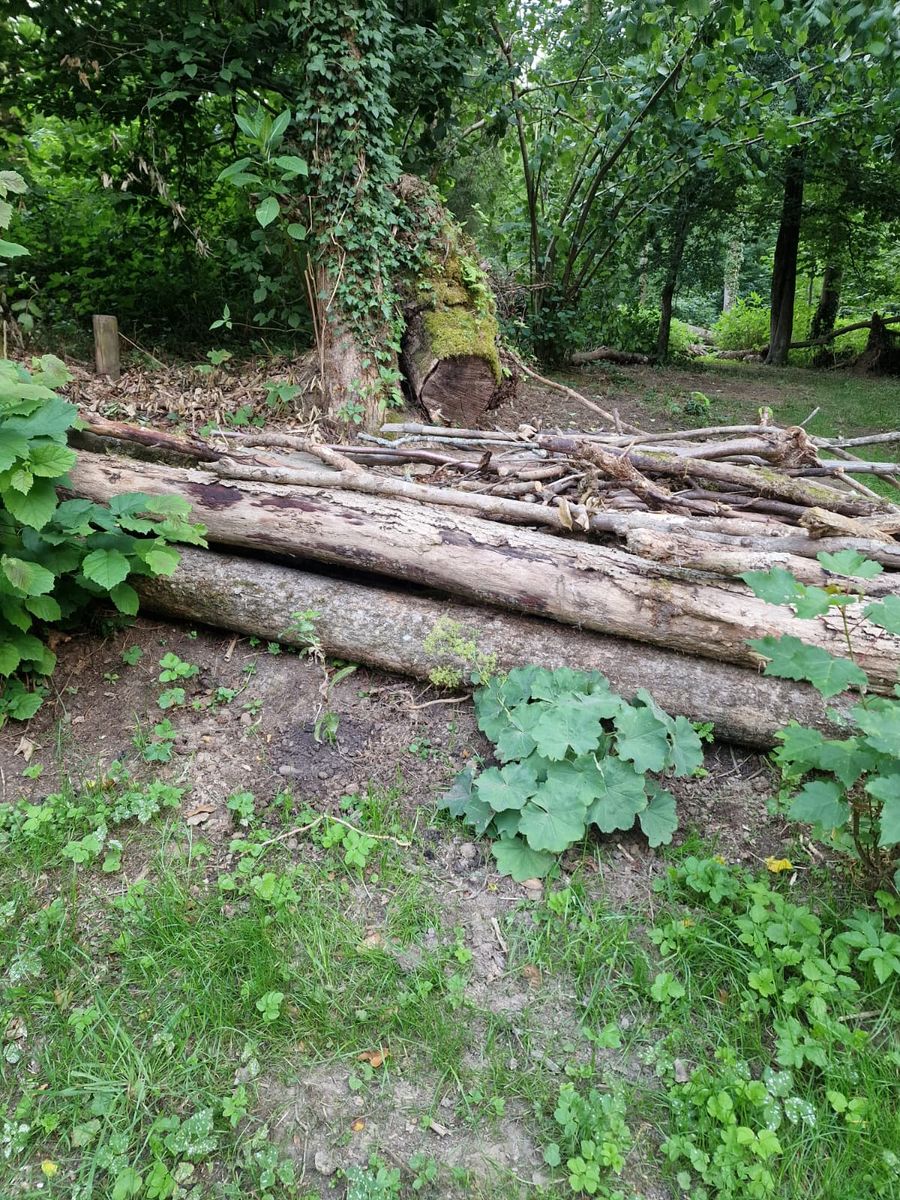 ForstHaven Bild 43