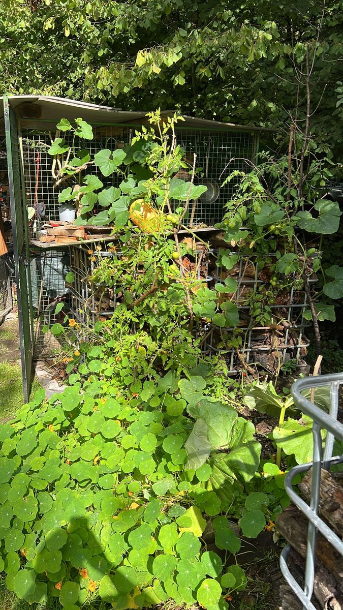 ForstHaven Bild 46