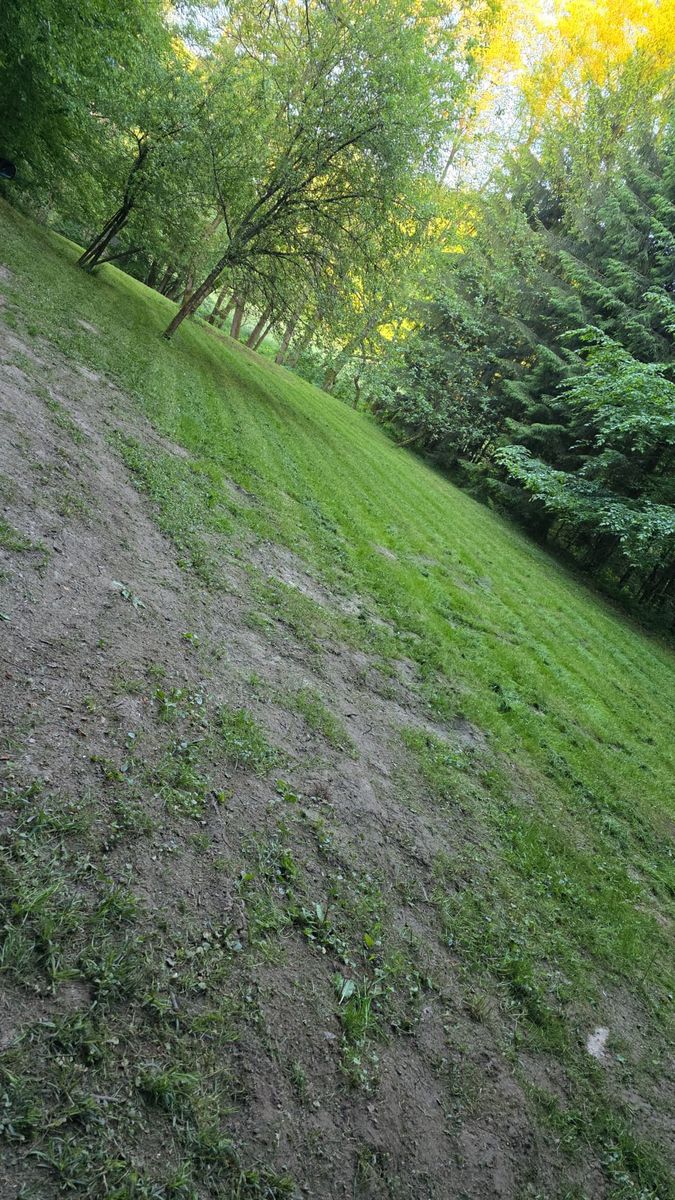 ForstHaven Bild 56
