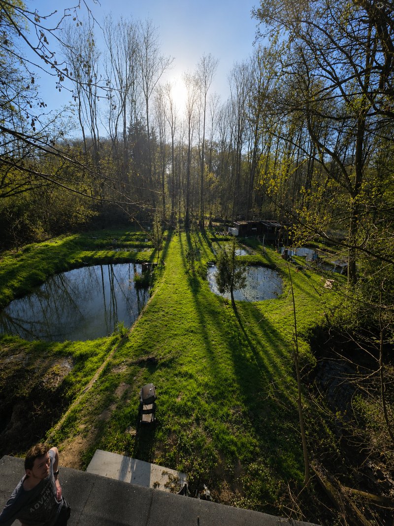 Wald von ForstHaven in Odenthal